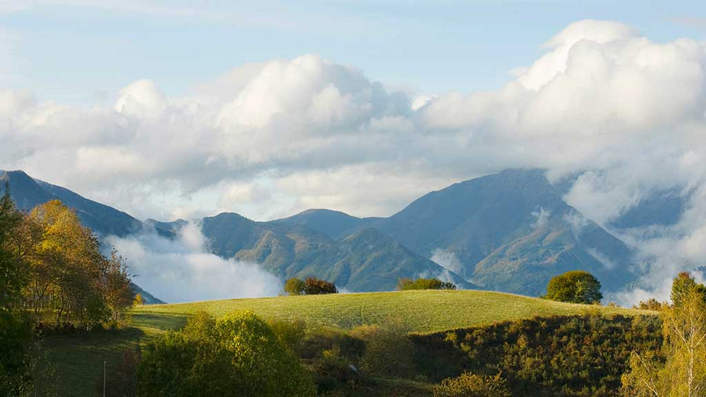 Estate in Oasi: quando a stupire è la semplicità