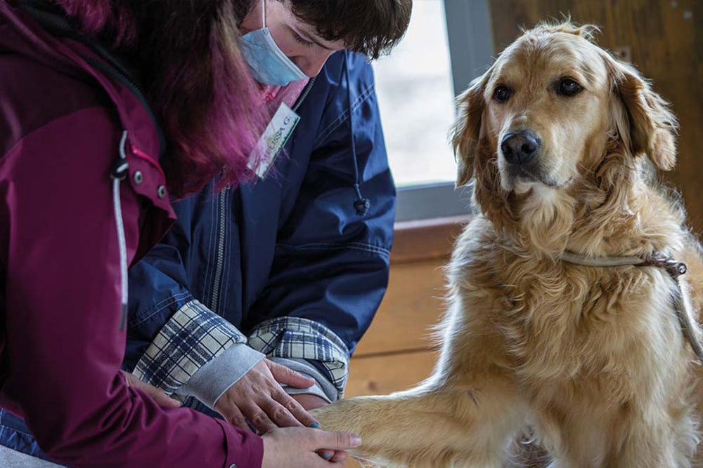 Quando la vita è straordynaria
