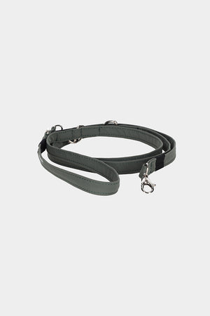 Dog Leash
