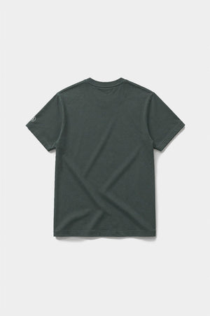Tees Be Curious